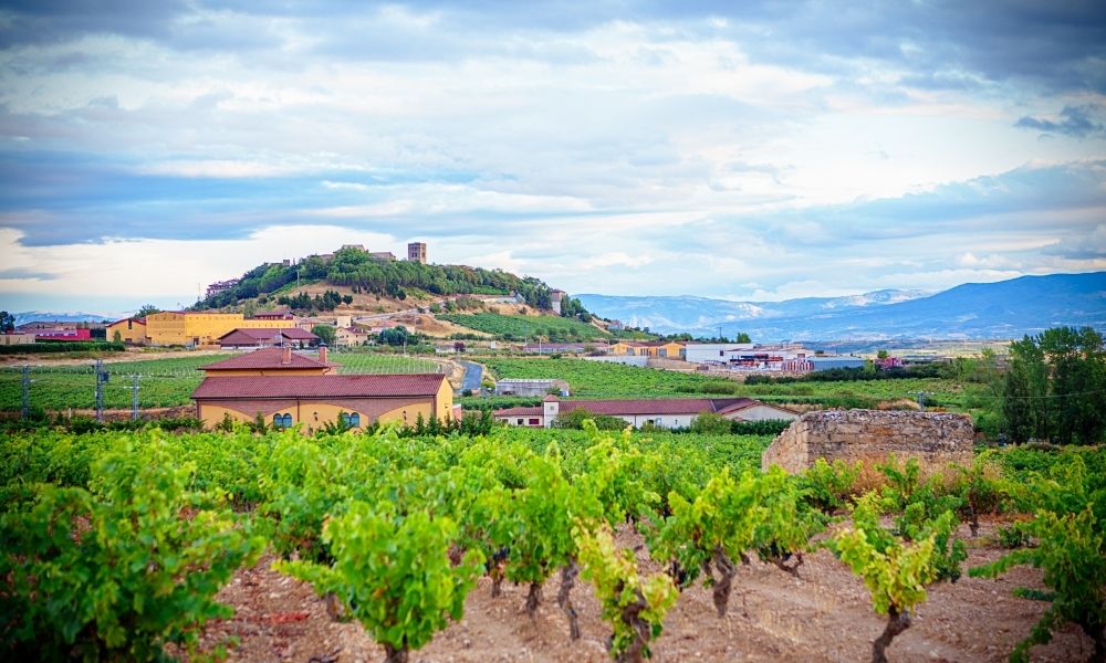 Rioja Alavesa Wine Route is one of many wine routes in Spain. The hilltop town of Laguardia, shown here, is the region's main town. Photo by Sima_ha/Canva
